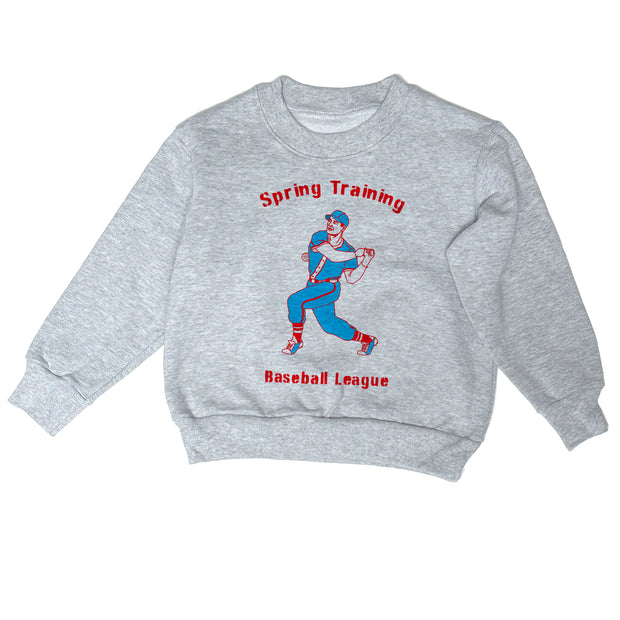 Baseball Spring Training - Heavy Fleece sweatshirt grey